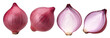 © natthapol - onions (shallots) and half isolated, Onions (shallots) macro studio photo, transparent PNG, PNG format, cut out
