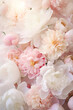 © Tina - peony flower heads background soft colors