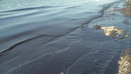 Wall Mural - Calm seashore with crashing waves on a sandy beach during sunny day