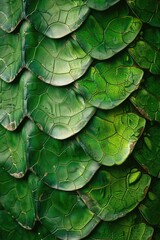 Poster - Detailed close up of a green plant, suitable for nature concepts