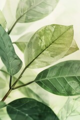 Aufkleber - Close up of a plant with green leaves, suitable for nature-themed projects