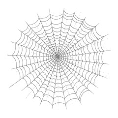 Wall Mural - spider web black color only