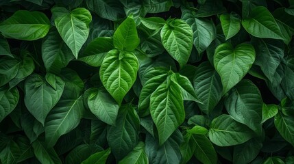 Dense leaf cover, environmental richness, selective focus, theme of growth, ethereal, Composite, backdrop of verdant foliage