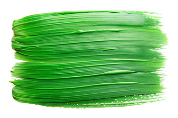 Green Textured Brush Stroke: A textured green brush stroke with natural, uneven edges, suitable for organic and eco-friendly designs.
