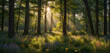 © SlayStorm - Beautiful rays of sunlight in a green forest