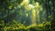 © Narongsak - Sunlight filters through the lush green canopy of a serene forest, creating a tranquil and magical atmosphere in nature.