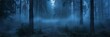 © Cassova - A mysterious foggy blue forest path during the early twilight hours.