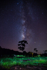 Wall Mural - landscape with panorama milky way, night sky with stars and silhouette of tree