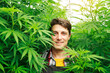 © Have a nice day  - Marijuana cannabis plant farmer inspecting plants health with leaf surrounding his face, medical science use, male caucasian indoor grown hemp weed, nature greenhouse, healthcare medicine treatment.