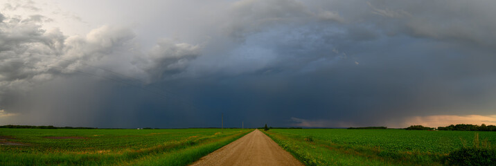 Wall Mural - Dark gray, blue and pink storm clouds fill the sky above a straight gravel road that is running through bright green fields of soybeans.  The fields and horizon are very flat.
