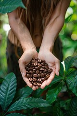 Wall Mural - Coffee beans harvest in the hands of a woman. Selective focus.