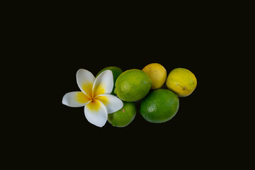 Ethiopie, green and yellow lemons with  a frangipane