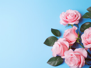 Wall Mural - Flat lay concept features artificial rose flowers on pink-blue backdrop