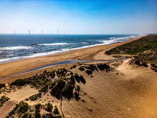 Wall Mural - wind turbines across the horizon in morning sun with sandy, grassy ridge on scottish beach in foregr