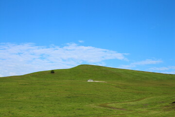 Wall Mural - A grassy hill with a body of water in the distance