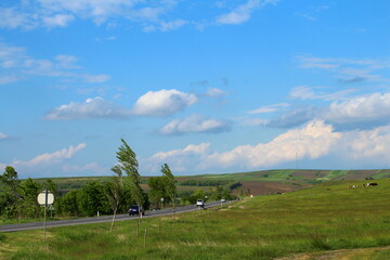 Wall Mural - A grassy field with a road and a sign on it