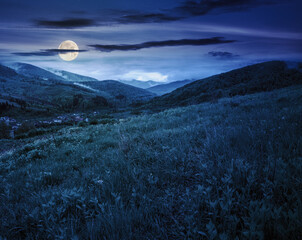 Wall Mural - carpathian countryside in spring at night. beautiful rural landscape in carpathian mountain. wet gra