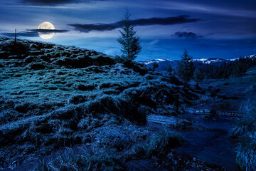 Wall Mural - countryside mountain landscape in springtime at night. trees on the grassy meadow. small brook in th