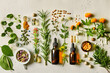 © john - Flat lay of natural remedies and medicinal plants for holistic health care. Concept Natural Remedies, Medicinal Plants, Holistic Health Care, Flat Lay, Wellness Products AI