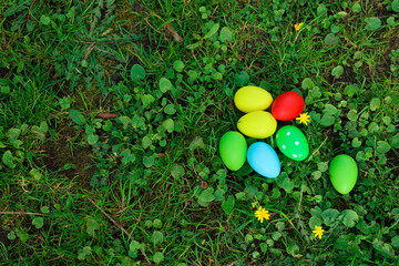 Wall Mural - Easter celebration. Painted eggs on green grass, top view. Space for text
