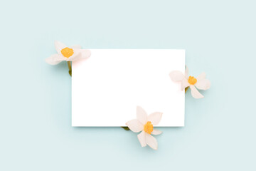 Wall Mural - Paper card mockup with white daffodil flowers on a blue background. Creative spring composition.