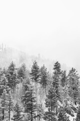Wall Mural - high key bw photo of foggy snowy mountain top. white on all sides