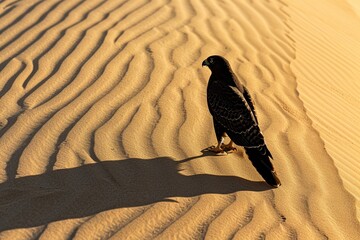 Sticker - Majestic silhouette of a bird of prey's shadow on desert sand, embodying the untamed beauty of wildlife in minimalistic form