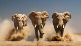 Fototapeta  - Three elephants run in the desert, with dust flying around them and motion blur.