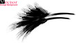 © Cindy - hand drawn brush strokes, Bird logo icon Hand drawn brush, Grunge Brush Strokes Banner Background, Black grunge brush raven silhouette isolated on white background.eps8