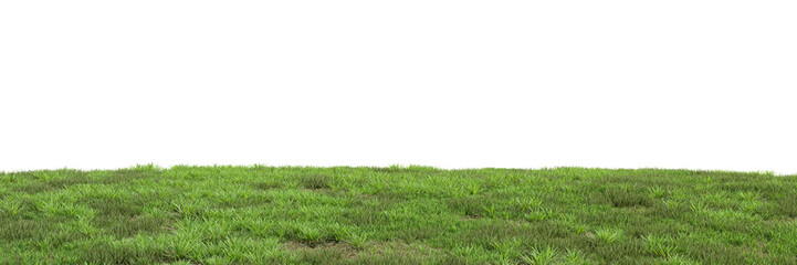 Wall Mural - Green grass on transparent background 3d rendering