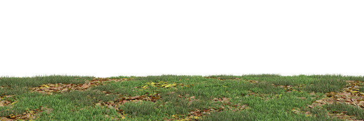 Wall Mural - Green grass on transparent background 3d rendering