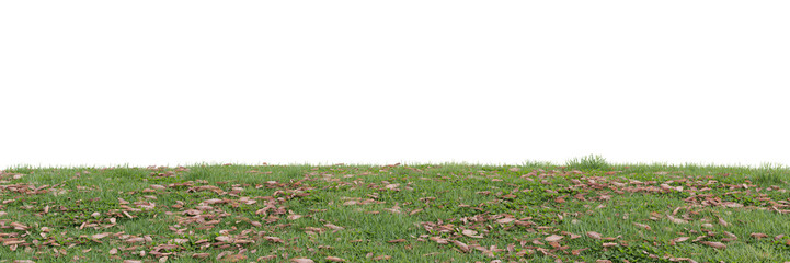 Wall Mural - Green grass on transparent background 3d rendering