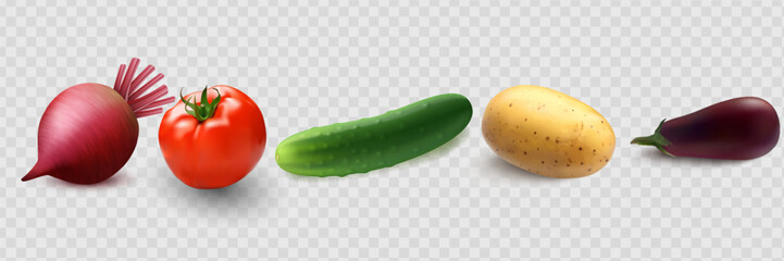 Cucumbers, coriander seeds, onions, potatoes, lettuce, zucchini, corn, tomato, asparagus. Vegetables 3d realistic vector set