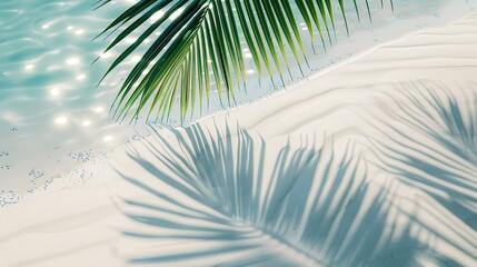 Poster - palm leaf shadow on abstract white sand beach background sun lights on water surface beautiful abstract background concept banner for summer vacation at the beach : Generative AI