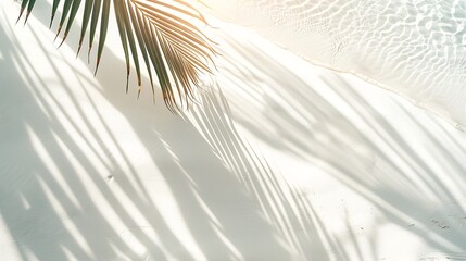 Poster - palm leaf shadow on abstract white sand beach background sun lights on water surface beautiful abstract background concept banner for summer vacation at the beach : Generative AI