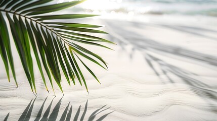 Poster - palm leaf shadow on abstract white sand beach background sun lights on water surface beautiful abstract background concept banner for summer vacation at the beach : Generative AI
