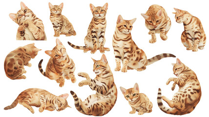 Sticker - Bengal cat watercolor illustration clipart.
