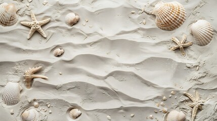 Poster - Top view of a sandy beach texture with imprints of exotic seashells and starfish as natural textured background : Generative AI