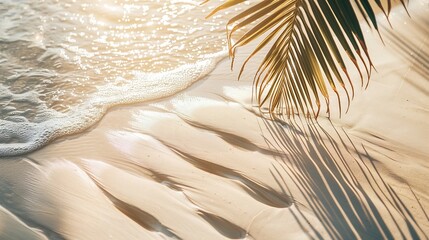 Poster - palm leaf shadow on abstract white sand beach background sun lights on water surface beautiful abstract background concept banner for summer vacation at the beach : Generative AI