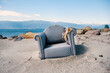 © Cagkan - Abandoned worn, old and dirty armchair on the sands of a beach.
