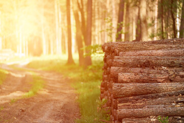 Wall Mural - Stacked Logs in Sunny Countryside Field