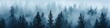 © RESTY - A misty autumn forest of coniferous evergreens shrouded in mountain fog, captured in a hipster vintage retro style. The dark green forest landscape unfolds in panoramic view.