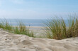 © Fokke Baarssen - A serene sand beach adorned with patches of grass and gentle sand dunes bathed in the soft light of the sun, creating a peaceful and tranquil scene.