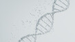 © TanyaJoy - 3D rendering of a DNA molecule in white with particles against a light background, scientific purity and genetic analysis.
