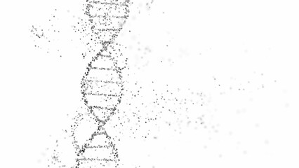 Wall Mural - 3d rendering of a dna double helix structure with spheres on a white background with copy space. gen