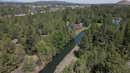 Wall Mural - Drone footage over a lush green trees with river at countryside