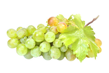 Poster - Bunch of green grapes isolated