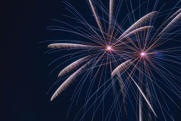 Beautiful display of vibrant fireworks bursting against a dark night sky