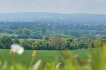 Wall Mural - vue sur Jars dans le Cher