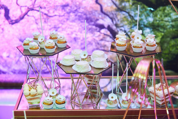 Decor for a wedding or engagement party. Desserts at the candy bar to treat guests